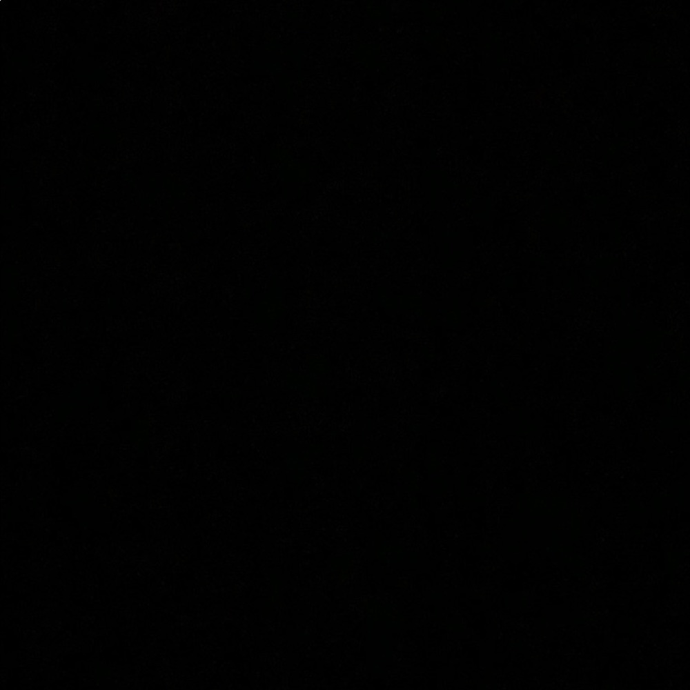 Meet your Posher, Laila